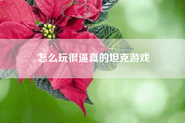 怎么玩很逼真的坦克游戏