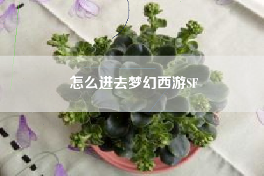 怎么进去梦幻西游SF