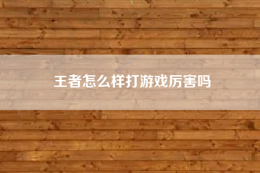 王者怎么样打游戏厉害吗