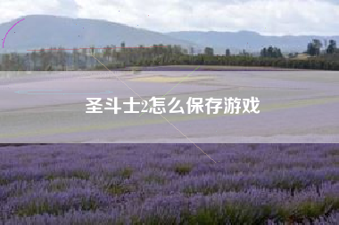 圣斗士2怎么保存游戏