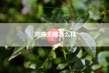 游戏主播怎么样