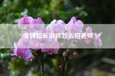 金牌校长游戏怎么招老师