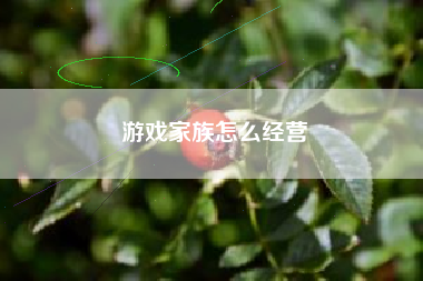 游戏家族怎么经营