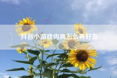 抖音小游戏内测怎么弄好友