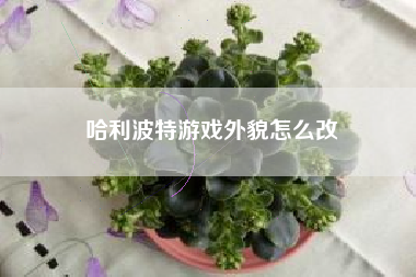 哈利波特游戏外貌怎么改