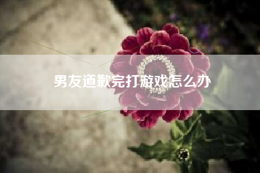 男友道歉完打游戏怎么办