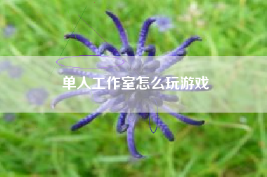 单人工作室怎么玩游戏