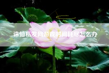 诛仙私发网游戏时间耗尽怎么办