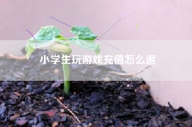 小学生玩游戏充值怎么退