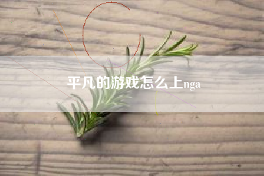 平凡的游戏怎么上nga