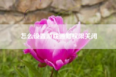 怎么设置游戏通知权限关闭