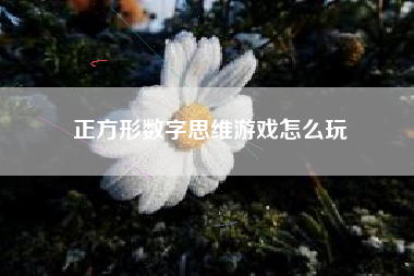 正方形数字思维游戏怎么玩