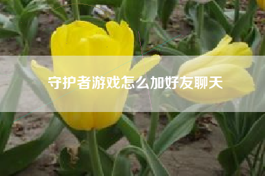 守护者游戏怎么加好友聊天
