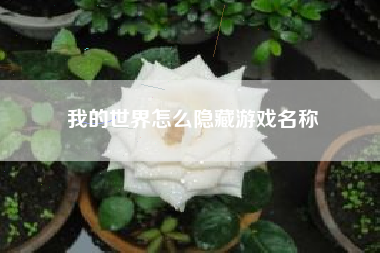 我的世界怎么隐藏游戏名称