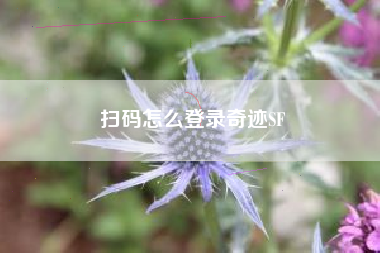 扫码怎么登录奇迹SF