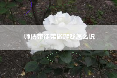 师傅带徒弟做游戏怎么说