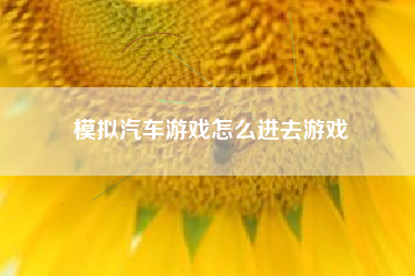 模拟汽车游戏怎么进去游戏