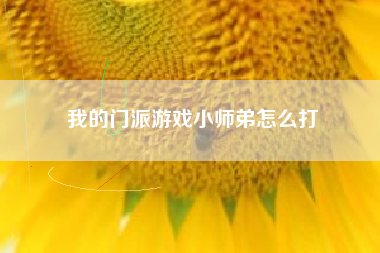我的门派游戏小师弟怎么打