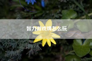 智力游戏牌怎么玩