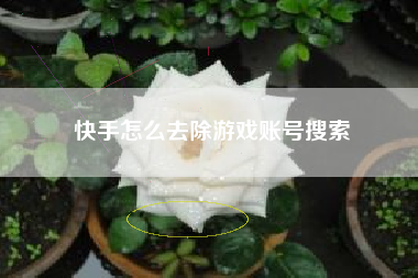 快手怎么去除游戏账号搜索