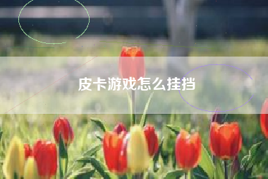 皮卡游戏怎么挂挡