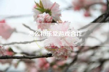 怎么和乐堂游戏合作