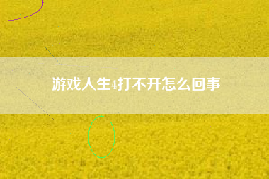 游戏人生4打不开怎么回事