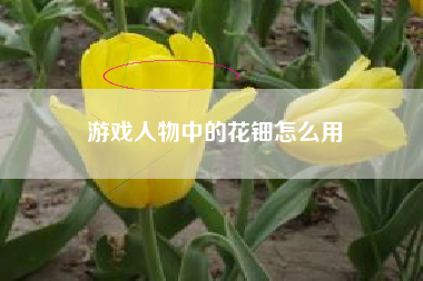 游戏人物中的花钿怎么用