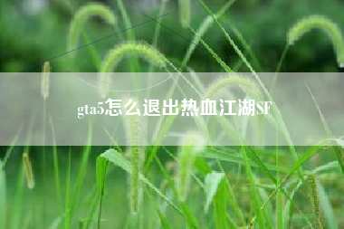gta5怎么退出热血江湖SF