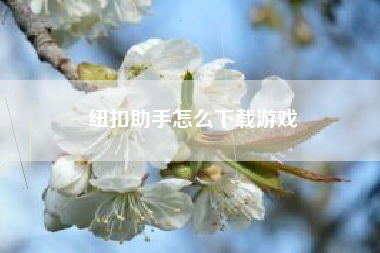 纽扣助手怎么下载游戏
