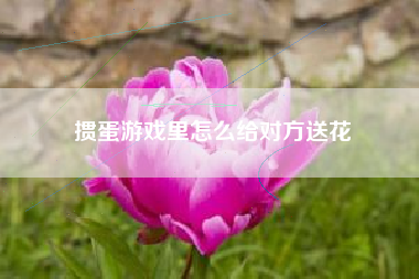 掼蛋游戏里怎么给对方送花