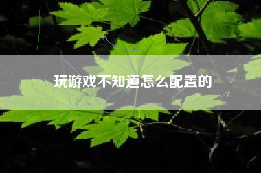 玩游戏不知道怎么配置的