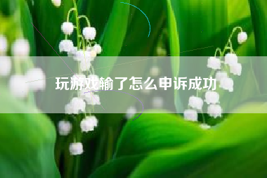 玩游戏输了怎么申诉成功