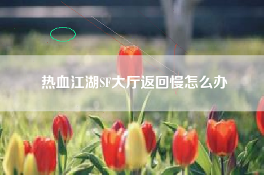热血江湖SF大厅返回慢怎么办