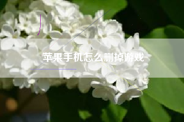 苹果手机怎么删掉游戏