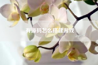 有源码怎么搭建游戏