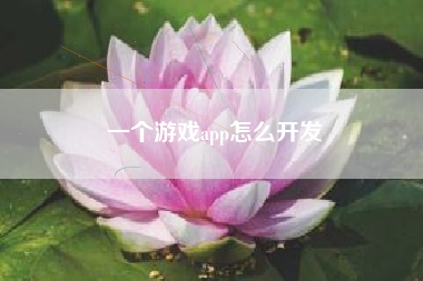 一个游戏app怎么开发