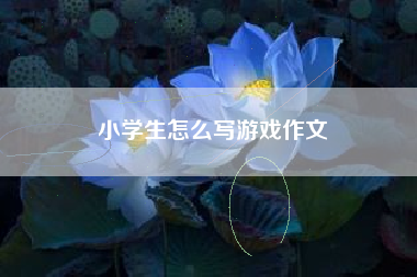 小学生怎么写游戏作文