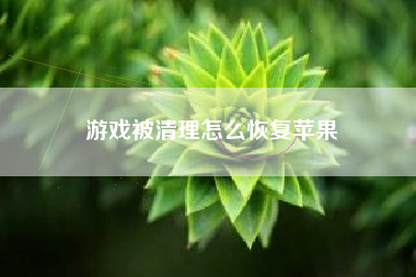 游戏被清理怎么恢复苹果