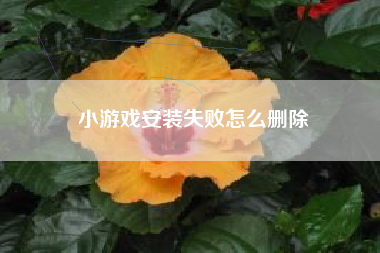 小游戏安装失败怎么删除
