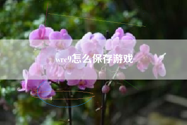 wrc9怎么保存游戏