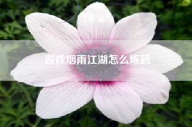 游戏烟雨江湖怎么炼药