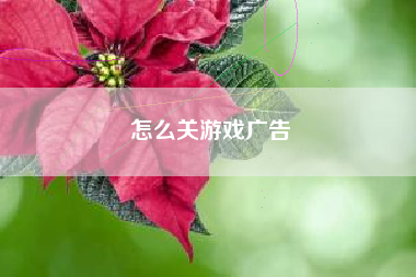 怎么关游戏广告