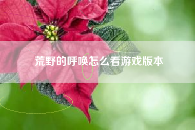 荒野的呼唤怎么看游戏版本