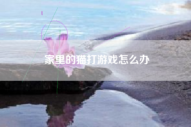 家里的猫打游戏怎么办