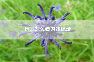 玩吧怎么看游戏记录