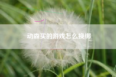 动森买的游戏怎么换绑