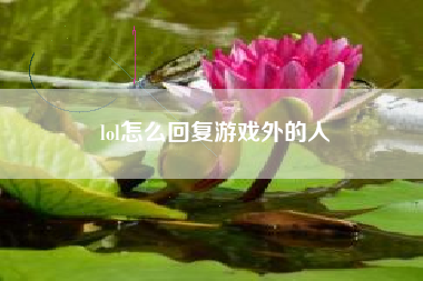 lol怎么回复游戏外的人