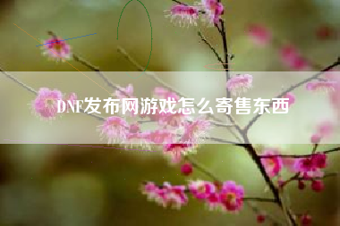 DNF发布网游戏怎么寄售东西