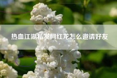 热血江湖私发网红龙怎么邀请好友